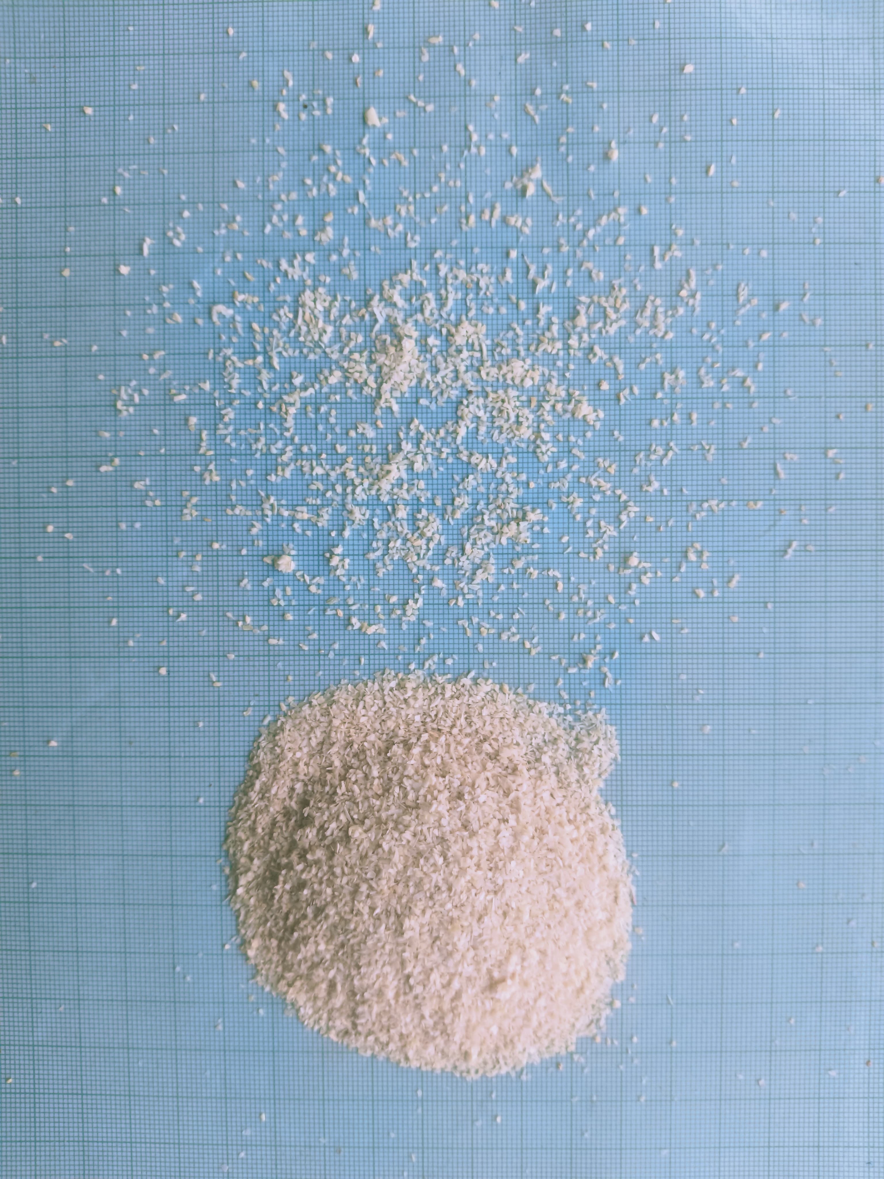 White Onion Granules 0.5-1MM